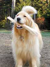 Photo of Anna, who was treated homeopathically.