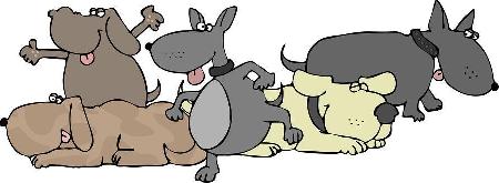 Graphic of group of dogs