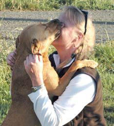 Photo of dog licking person