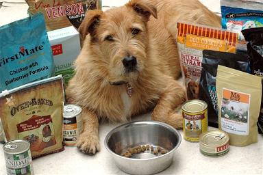 Photo of dog surrounded by bags and cans of dog food
