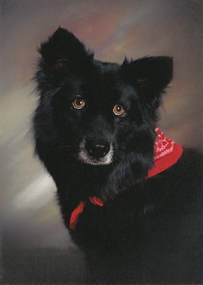 Photo of Pepper
