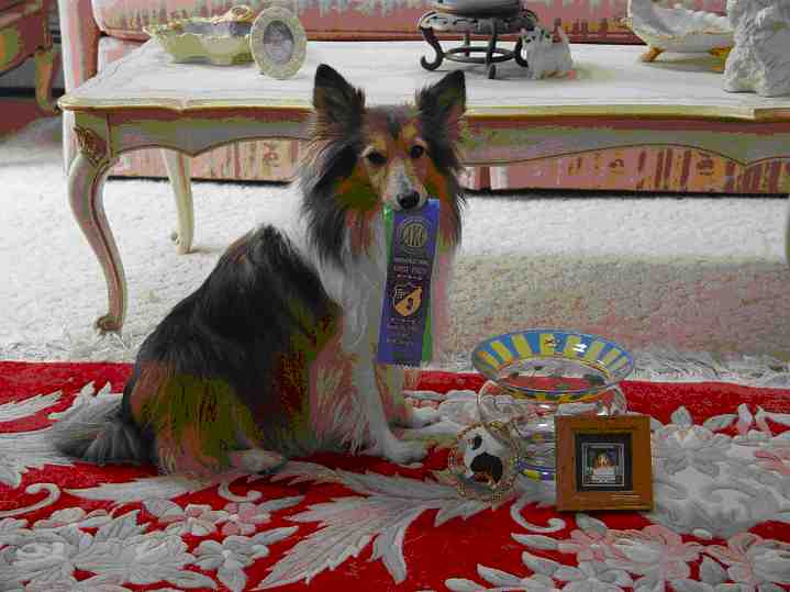 Photo of Kara holding her blue ribbon